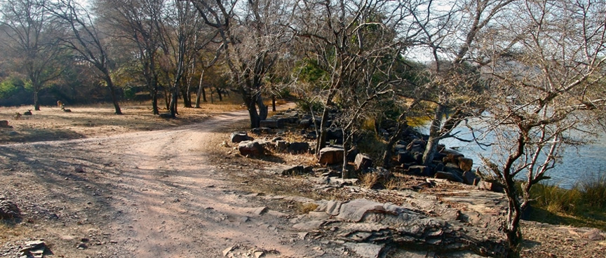 Ranthambore Tiger Reserve, Rajasthan