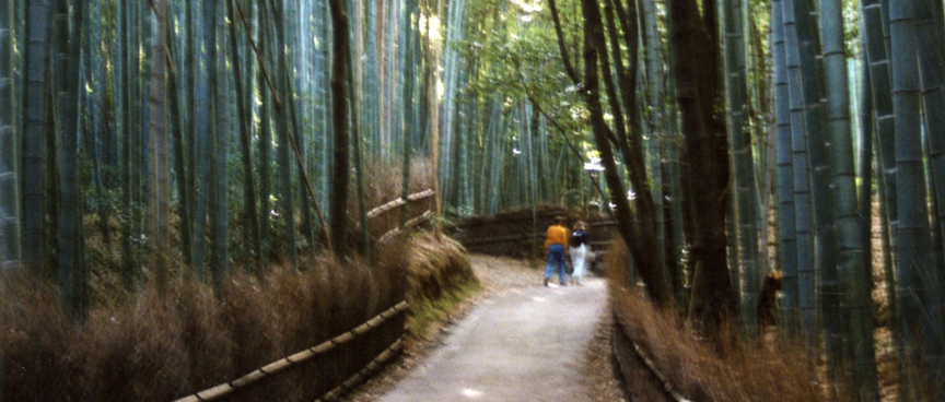 Bamboo Forest, Arashiyama