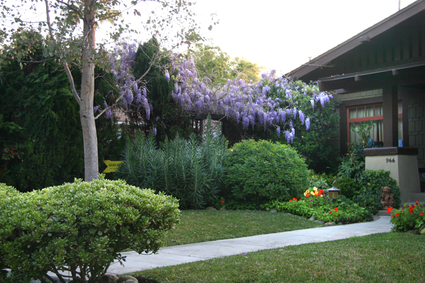 Front Yard, after